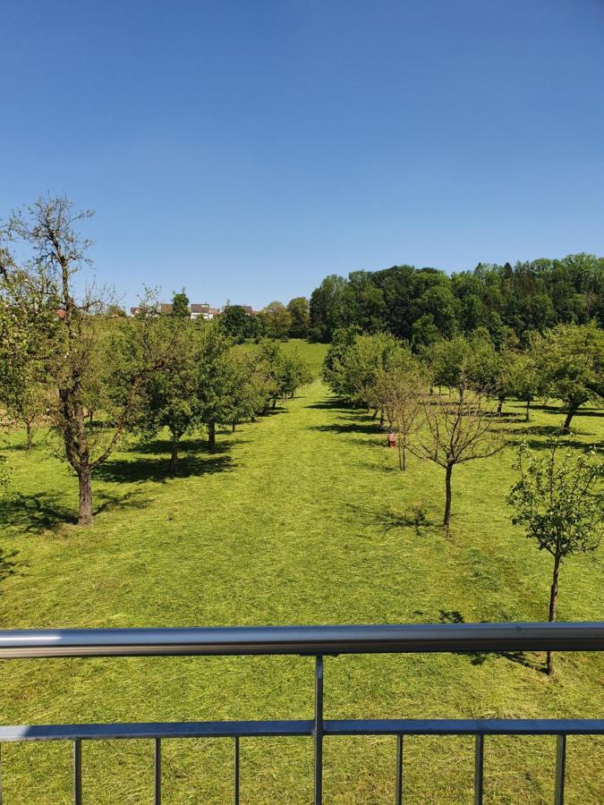 Sitter-Panorama Apartman Bischofszell Kültér fotó